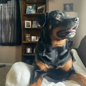 Meet your Posher, Penny